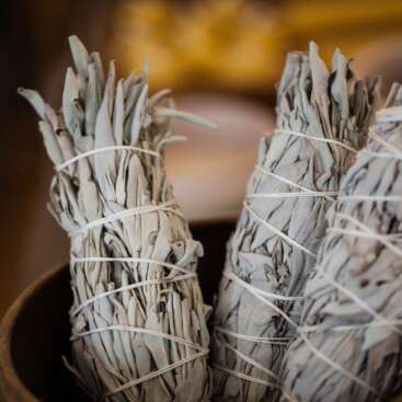Californian White Sage XL